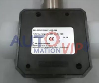 RRI-025GVQ160V10KE-248 Honsberg Flowmeter
