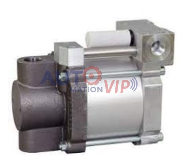 3130.0198 Maximator Pressure Pump