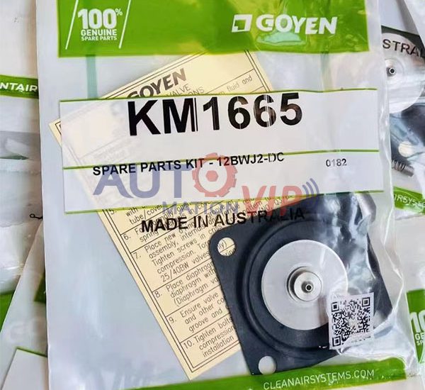 KM1665 Goyen Diaphragm Repair Kit