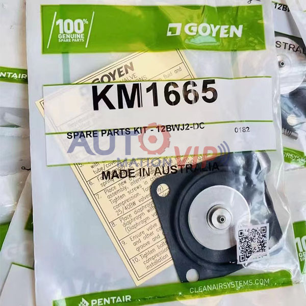 KM1665 Goyen Diaphragm Repair Kit