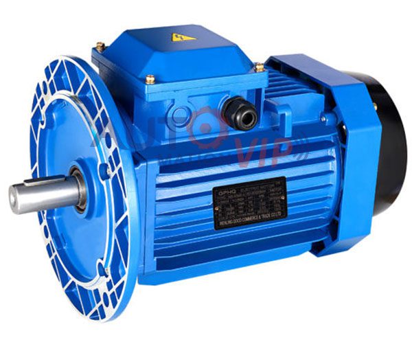 MS 132M-4 Gphq Electric Motor