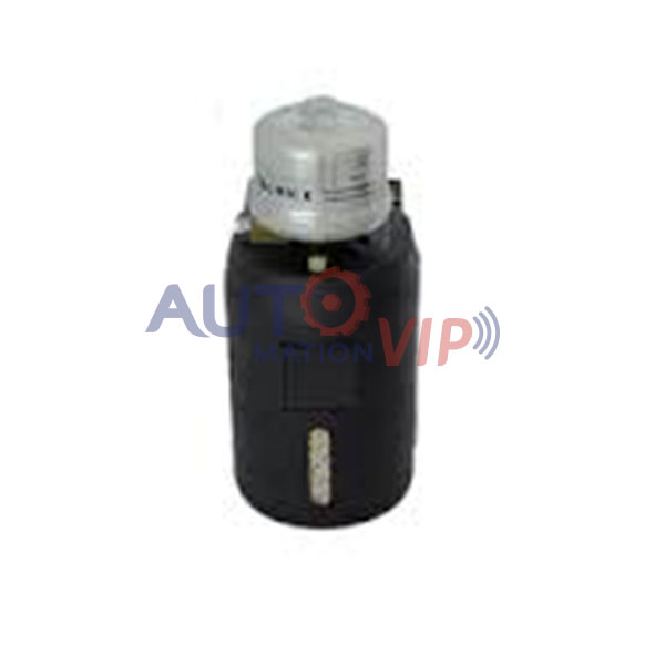 OS025 SOMMER Oil Gun