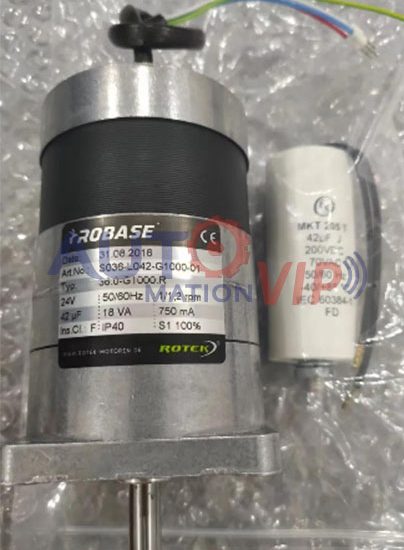 S036-L042-G1000-01 ROTEK Motor