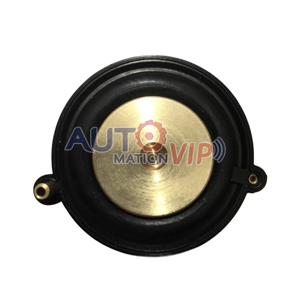 Solenoid Valve Diaphragm, L182B01, 837.123.00.00